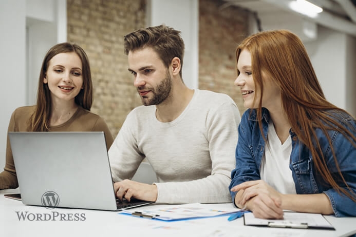 Wordpress Optimizare SEO tehnic local seo