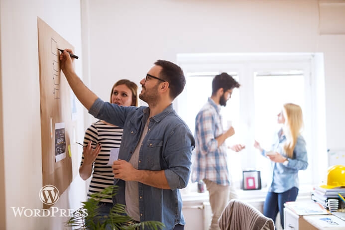 Pachete si servicii Mentenanta site Wordpress